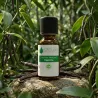 Arôme Naturel de Vanille