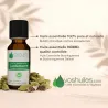 Huile Essentielle de Cardamome