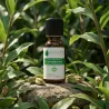 Huile Essentielle de Cardamome