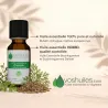 Huile Essentielle de Cumin