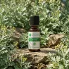 Huile Essentielle de Davana (Artemisia Pallens)