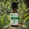 Huile Essentielle d'Elémi (Canarium luzonicum)