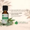 Huile Essentielle d'Eucalyptus citronné