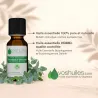 Huile Essentielle d'Eucalyptus Globulus