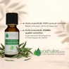 Huile Essentielle d'Eucalyptus Radiata