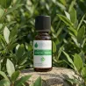 Huile Essentielle de Laurier Noble