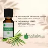 Huile Essentielle de Lemongrass