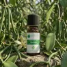 Oléorésine de Vanille (Vanilla planifolia)