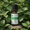 Huile Essentielle de Patchouli