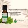 Huile Essentielle de Patchouli