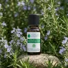Huile Essentielle de Romarin Officinalis à cinéole