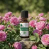 Huile Essentielle de Rose de Damas