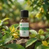 Huile Essentielle d'Ylang Ylang