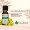 Huile Essentielle d'Ylang Ylang