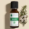 Huile Essentielle de Manuka