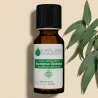 Huile Essentielle d'Eucalyptus Globulus
