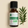 Huile Essentielle BIO d'Arbre à thé (Tea tree)