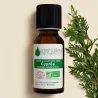 Huile Essentielle BIO de Cyprès