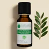 Huile Essentielle de Laurier Noble