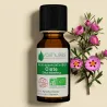 Huile Essentielle BIO de Ciste