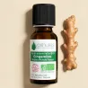 Huile Essentielle BIO de Gingembre