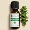 Huile Essentielle de Menthe poivrée