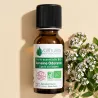 Huile Essentielle BIO de Verveine odorante