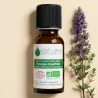 Huile Essentielle Bio d'Hysope couchée
