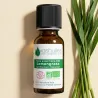 Huile Essentielle BIO de Lemongrass