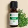 Huile Essentielle de Davana (Artemisia Pallens)