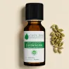 Huile Essentielle de Cardamome