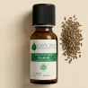 Huile Essentielle de Cumin