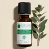 Huile Essentielle d'Eucalyptus citronné