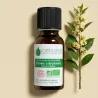 Huile Essentielle BIO de Litsée citronnée