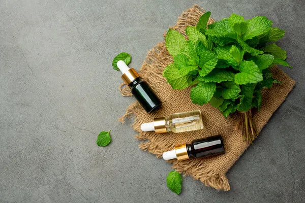 Quels sont les dangers de l’huile essentielle de menthe poivrée ?