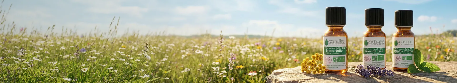 Huiles Essentielles 100% pures et naturelles